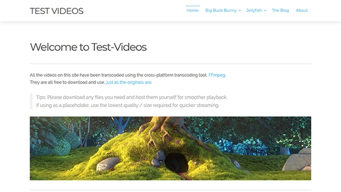 A snapshot of the home page of test-videos.co.uk
